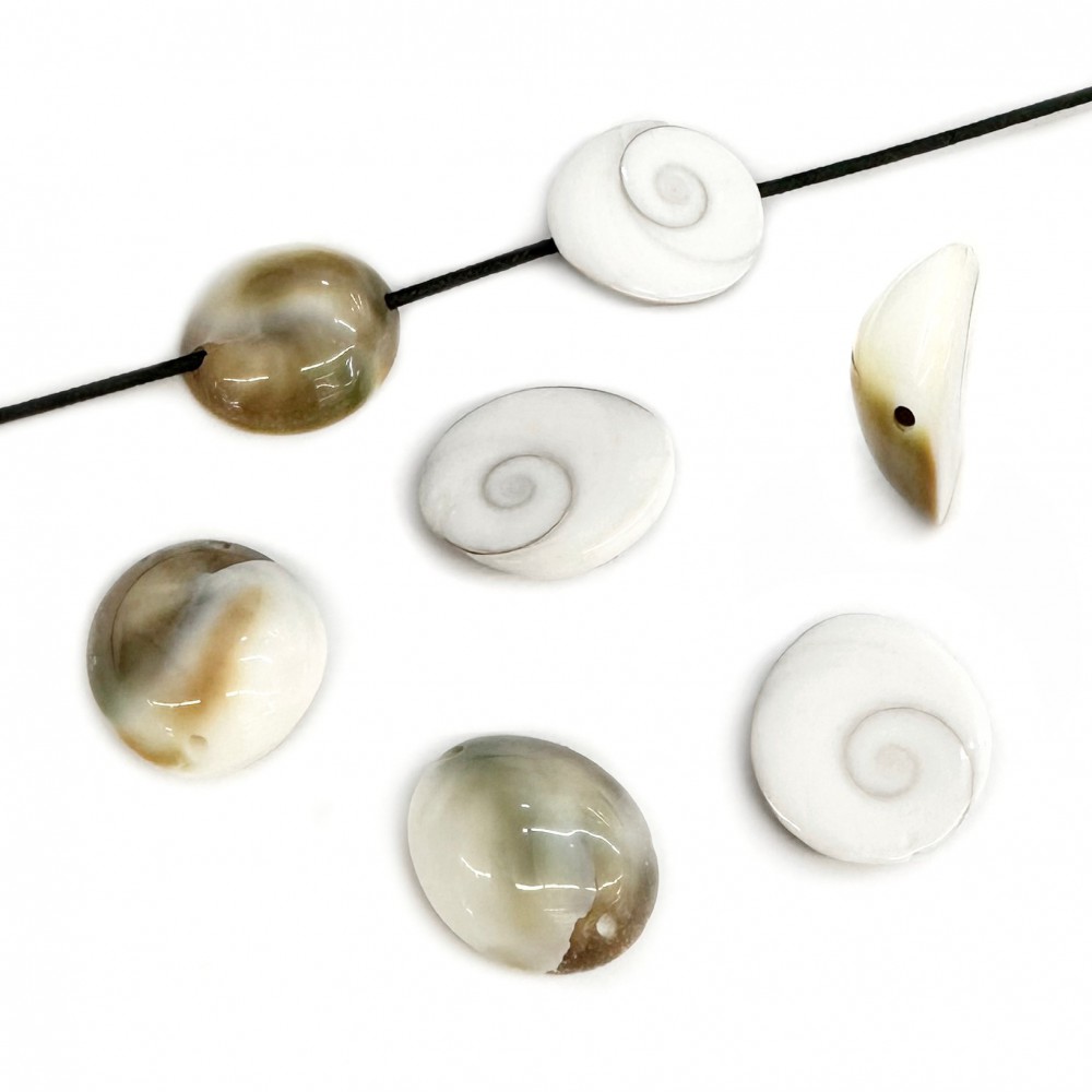 Eye of the sea, ocean natural shell double sided with hole