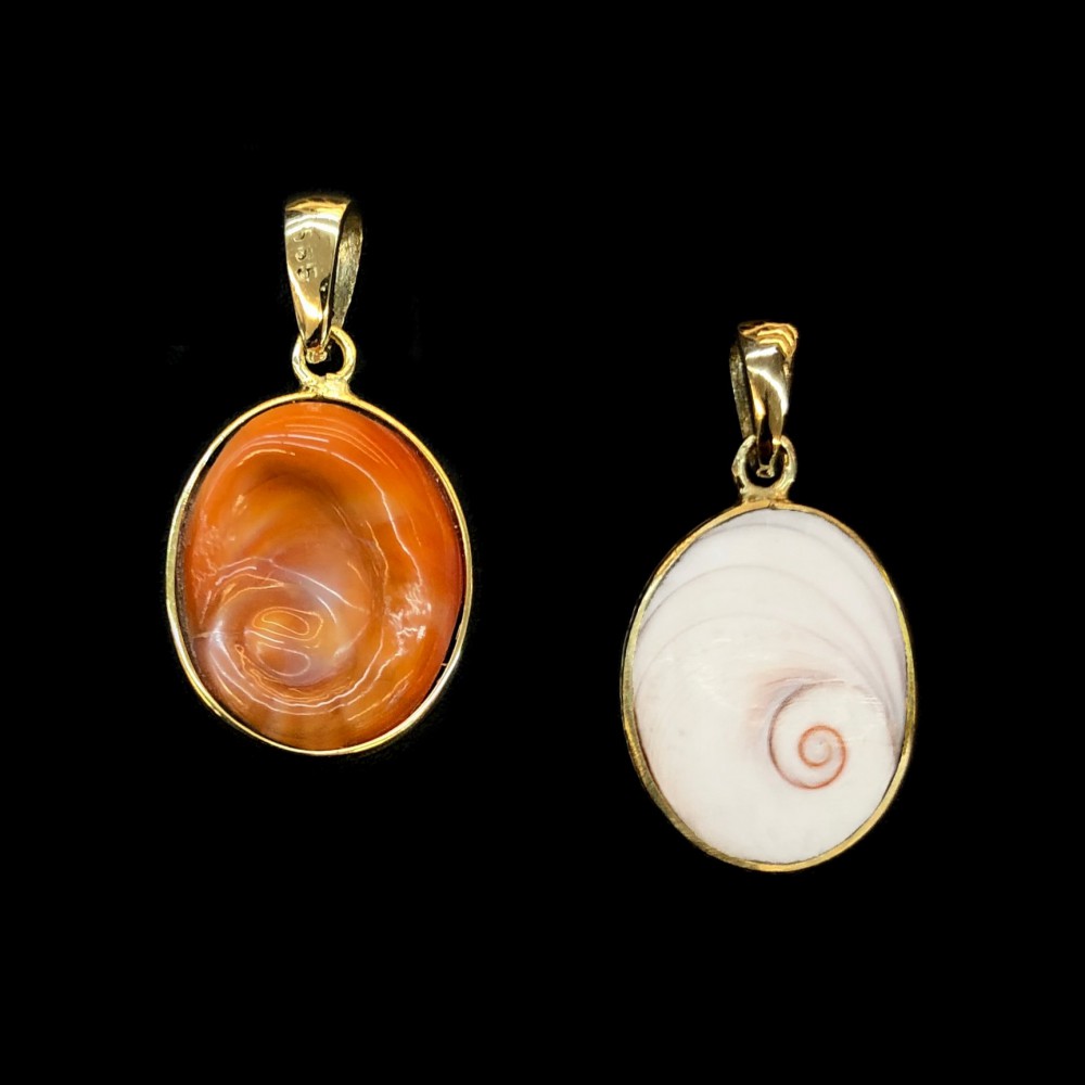 Eye of the sea natural shell , double sided with gold 14k Shells