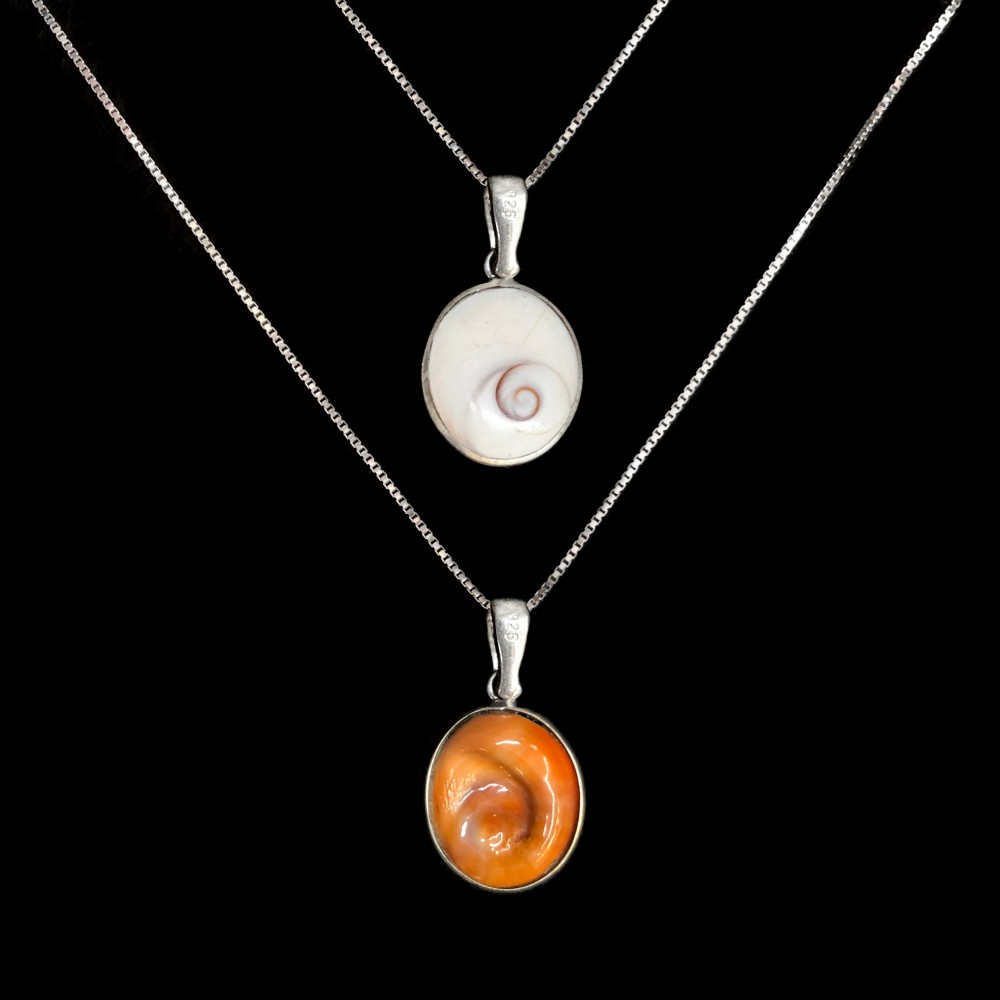 Necklace Eye of the sea natural shell , double sided with silver 925 Necklaces