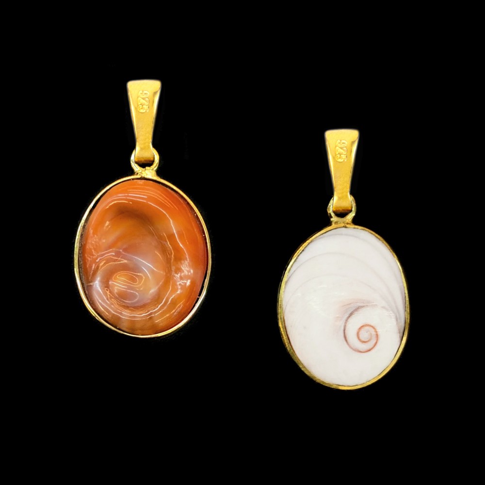 Eye of the sea natural shell , double sided with silver 925 gold plated Shells
