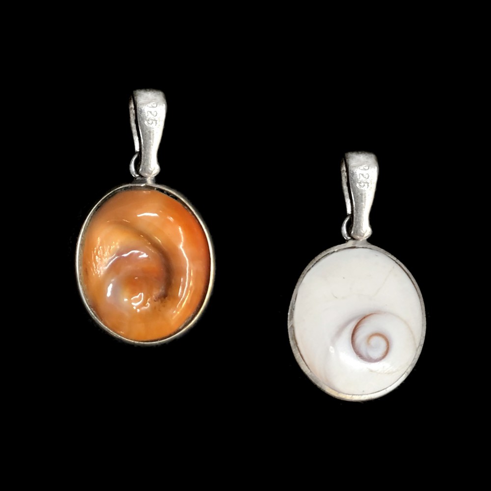 Eye of the sea natural shell , double sided with silver 925 Shells