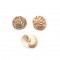 Natural shell with hole 25mm