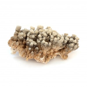 Κοραλλοειδής Αραγωνίτης (Coralline Aragonite) ακατέργαστος φυσικός ημιπολύτιμος λίθος 18cm x 8cm x 10cm Λίθοι Χώρου