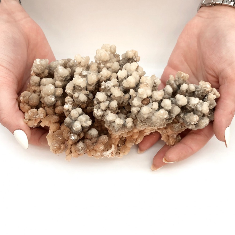 Κοραλλοειδής Αραγωνίτης (Coralline Aragonite) ακατέργαστος φυσικός ημιπολύτιμος λίθος 18cm x 8cm x 10cm Λίθοι Χώρου
