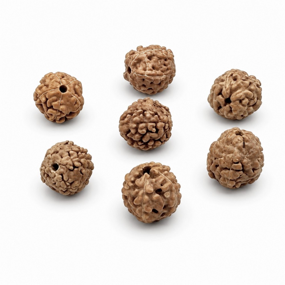 Ρουντράκσα (Rudraksha) φυσικός καρπός 8∽9mm μπεζ χρώμα (τιμή ανά χάντρα) Ρουντράκσα - Rudraksha