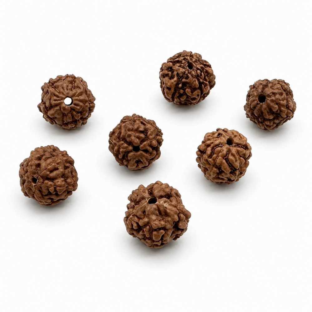 Ρουντράκσα (Rudraksha) φυσικός καρπός 8∽9mm καφέ χρώμα (τιμή ανά χάντρα) Ρουντράκσα - Rudraksha