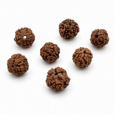 Ρουντράκσα (Rudraksha) φυσικός καρπός 8∽9mm καφέ χρώμα (τιμή ανά χάντρα)
