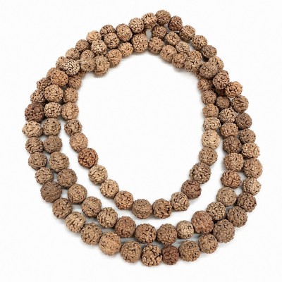 Ρουντράκσα (Rudraksha) φυσικοί καρποί χάντρες 8∽9mm μπεζ χρώμα (σειρά∽85cm∽110χάντρες)