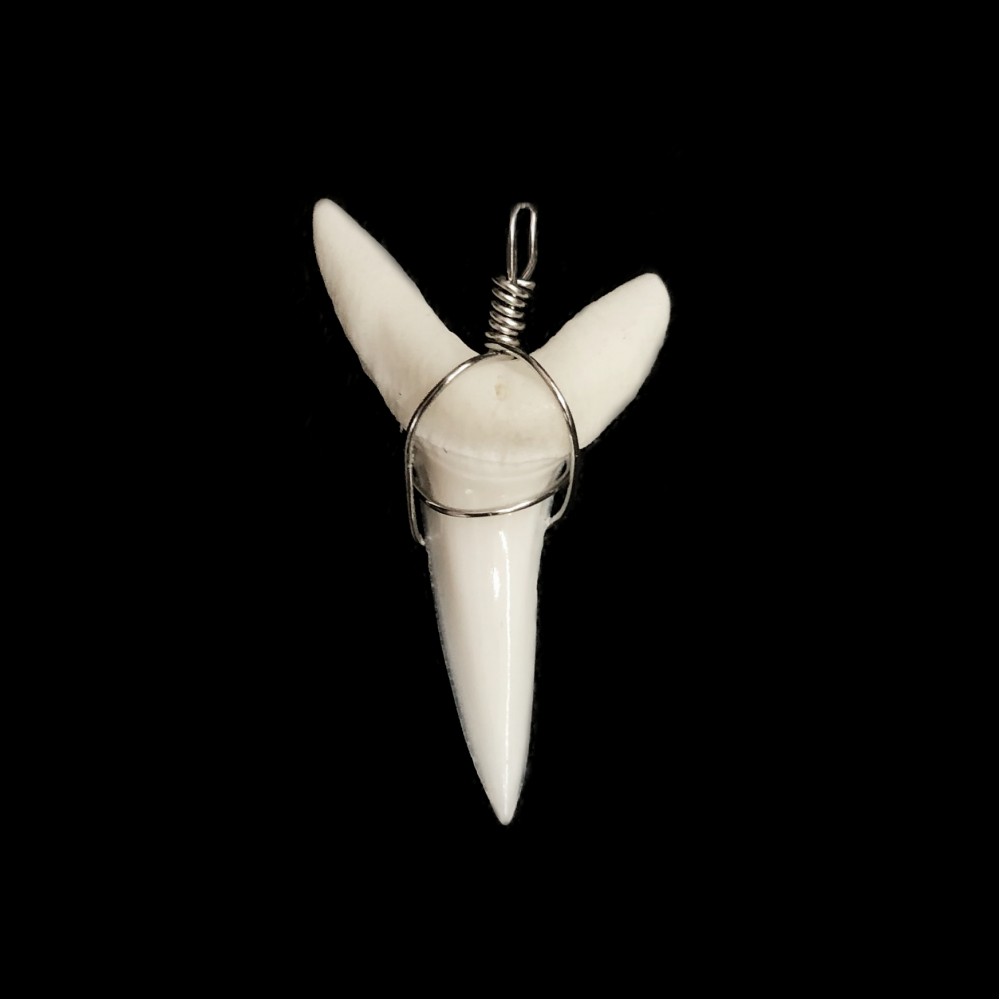 Κρεμαστό φυσικό Δόντι από Καρχαρία, Taurus Shark Κόκκαλο & Κέρατο