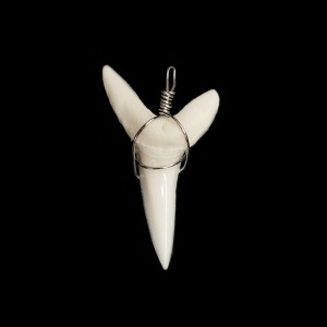 Κρεμαστό φυσικό Δόντι από Καρχαρία, Taurus Shark Κόκκαλο & Κέρατο