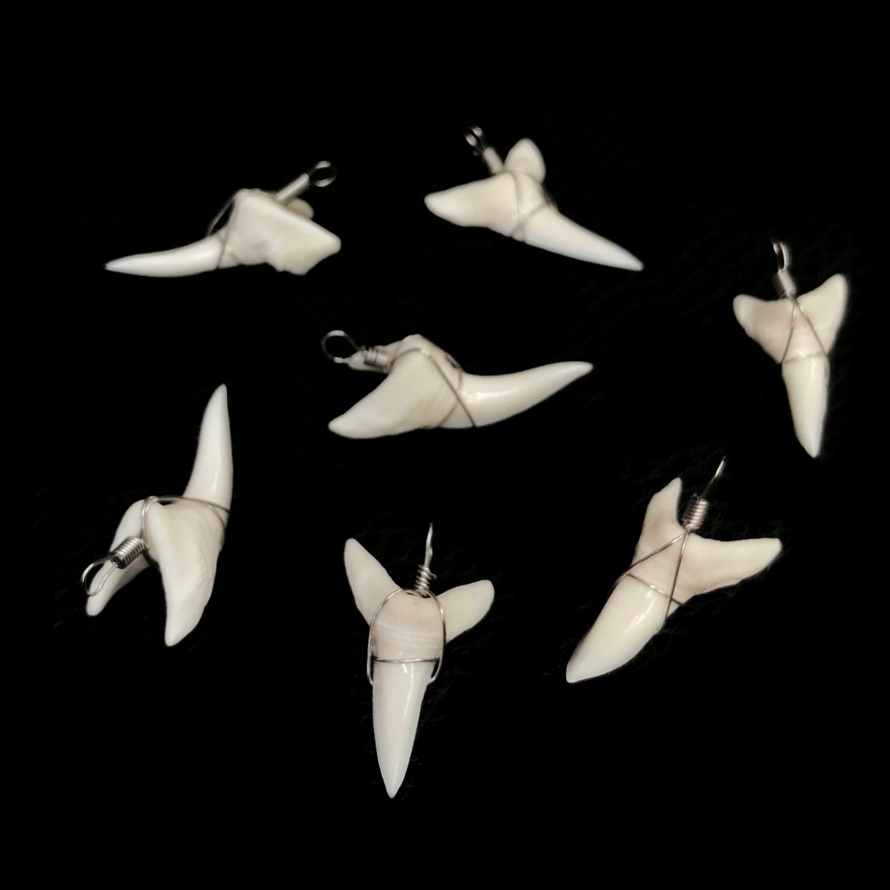 Κρεμαστό φυσικό Δόντι από Καρχαρία, Taurus Shark Κόκκαλο & Κέρατο