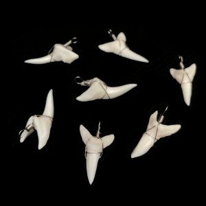 Κρεμαστό φυσικό Δόντι από Καρχαρία, Taurus Shark Κόκκαλο & Κέρατο